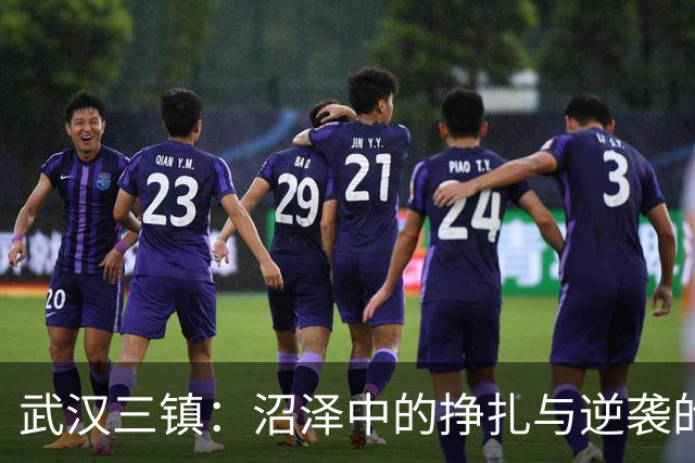 武汉三镇：沼泽中的挣扎与逆袭的焦虑